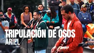 Tripulación de Osos - Ariel - Sesiones Al Parque (Episodio 3)