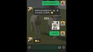 咱就是说双鱼座不管几岁都是作精