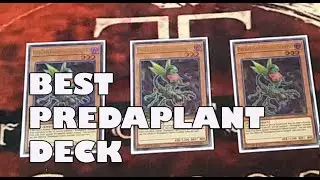 Best Predaplant Deck Profile