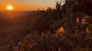 Sunsets fade then disappear. This is not about sunsets 