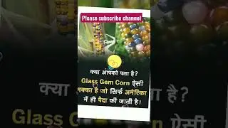 #Glass#Gem#Corn#(Maize)#      #Glass#Gem#Corn#(Maize)# #Glass#Gem#Corn#(Maize)# मक्का#shortvideo#_