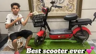 Presenting The best Evee flipper review /[for you ]