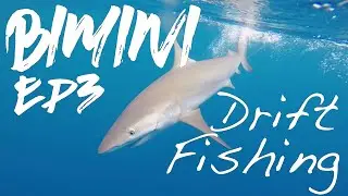 Bimini Drift Fishing Ep3 | Bahamas | Center Console Boat | GoPro Travel | Sea Hunt Boats | Off Shore