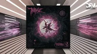 TNTKLZ - Hostile Signal [Evolution Chamber]