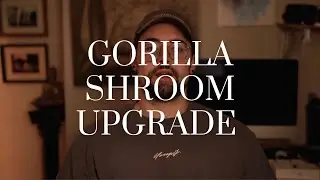 Gorilla Shroom Massive Upgrade : Better Cognitive Function and Heavy Doses of Lion's Mane etc.