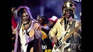 THE BEST OF GEORGE CLINTON & THE P-FUNK ALLSTARS & BOOTSY COLLINS