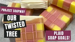 Gorgeous Plaid Soap! Project Soapway Winner Twisted Tree!