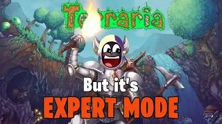 Defeating EVERY BOSS In Terraria To Prepare For The Moon Lord!