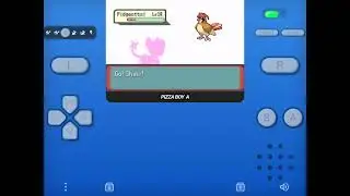 Pokemon Scorched Silver -- Gym Leader Falkner