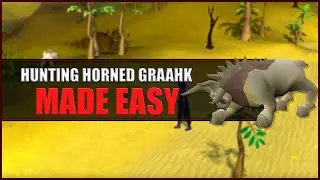 Quick Guide to Hunting Horned Graahk in OSRS | Hunter Guide | Hunters Rumours