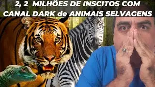 Como Criar um Canal DARK de Animais Selvagens sem aparecer e ganhar muito  dinheiro no Youtube