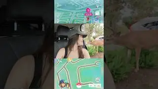 Встречайте не только покемонов в День общения #PokemonGO #Shorts