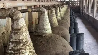 مصادر العود في فيتنام