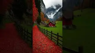 Ultimate Calm Relaxing Music - Peaceful Music For Stress Relief, Study, Sleep, Meditation