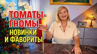 ЭТИ ТОМАТНЫЕ ГНОМЫ 2026 БУДУТ ЛУЧШЕ ПРОШЛОГОДНИХ!🍅🍅🍅🔥КАКИЕ СОРТА 2025 БУДУ ОБЯЗАТЕЛЬНО ПОВТОРЯТЬ!☝️