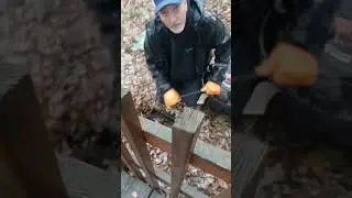 Don't Buy a House Without Doing This | Sewer Line Scope