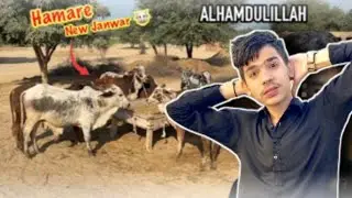 Finally Hum Ne Qurbani Wala Janwar Khareed leya 😍 