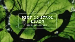 Pest Control Leads