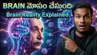 మీ మెదడు నిజాన్ని మోసం చేస్తుందా? | Brain reality Explained Telugu | Human body Facts | Brain Facts 