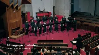 Sonority: O magnum mysterium - Tomás Luis de Victoria