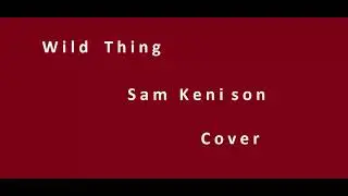 Wild Thing - Sam Kinison #femalecover #foryou #wildthing #sisters #samkinison