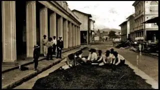 Cacao el fino aroma de nuestra identidad