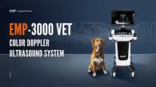 EMP-3000VET Color Doppler Ultrasound System