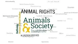 Defining Animal Rights with H. Peter Steeves - ASI's Defining Human-Animal Studies 17