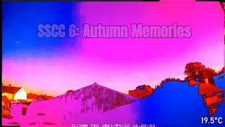 Slushwave Social Club Volume 6: Autumn Memories | Visual Album