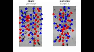 Crowd Flow – From Order to Chaos