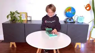 Catapult Hand Shooter | Educational STEM Toys for Kids | Butterfly Fields