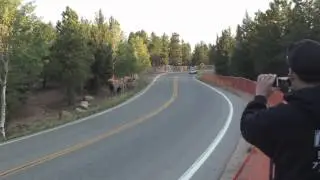 2012 Pikes Peak Hill Climb Lower Practice, Unlimited, Open Wheel