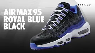 Новые кроссовки Nike Air Max 95 Deep Royal Blue, White & Black DM0011-006 (подробный вид)