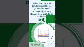 #YellowFever - Understanding and Preventing the Disease