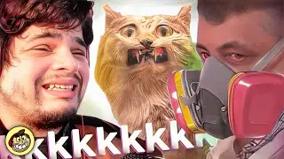 1 ANO EM C#C# DE GATO a velha dos gatos - Acumuladores Compulsivos #2