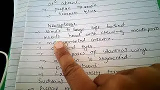 Order neuroptera