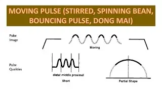 STIRRING PULSE (MOVING, SPINNING BEAN, BOUNCING PULSE, DONG MAI)