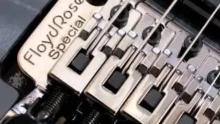Schecter Official DAMIEN ELITE Series