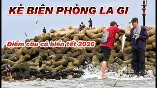Tết 2026 Về Quê La Gi Câu Cá Biển Kè Biên Phòng – Không Lo Móm