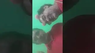 Z&Eacute; DO FUSCA.Leyy
