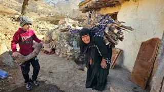 Abandoned in the Wild Mountains: An Elderly Mother's Fight to Protect an Orphaned Child