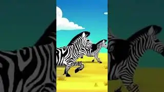 Mystery Solved: Why Do Zebras Have Stripes?  #safarifamily #ZebraStripes #WildlifeMystery #shorts
