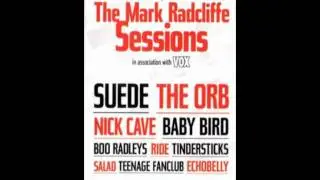 The Mark Radcliffe Sessions (Vox Tape) - 03 Baby Bird - Goodnight