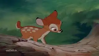 Animals Tamil Movie | New tamil animation movie | Hollywood tamil dubbed movie | Cats And Dogs Movie