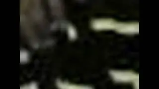 JanRay's Video
