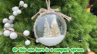 The Best Christmas Trees at Hello Hello