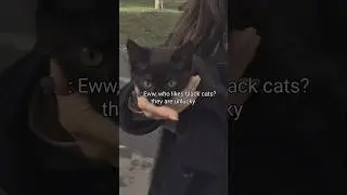 Unlucky, huh🖤🥺 #aesthetic #edit #animals #emotional #Unlucky