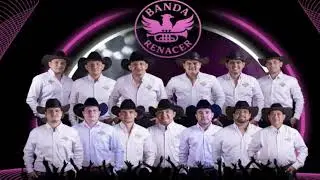 BANDA RENACER 