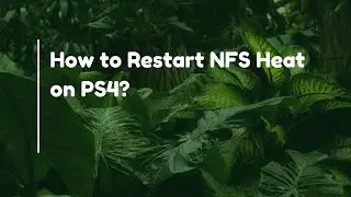 How to Restart NFS Heat on PS4?