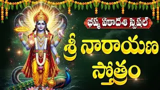 భీష్మ ఏకాదశి రోజు శ్రీ నారాయణ స్తోత్రం వింటే పాపాలు నశిస్తాయి | Bheeshma Ekadashi Special Stotram